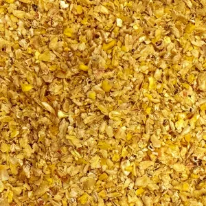 Corn germ for oil extraction