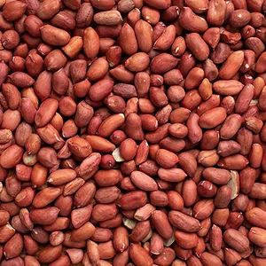Peanuts for cold pressed oil extraction
