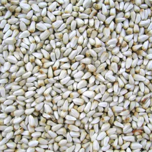 Safflower seeds for oil extraction