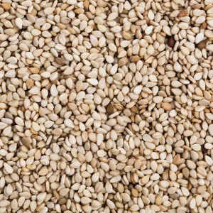 Sesame seeds for cold pressed oil extraction